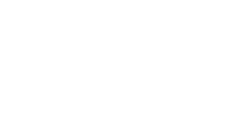 The Amarillo Public Library logo