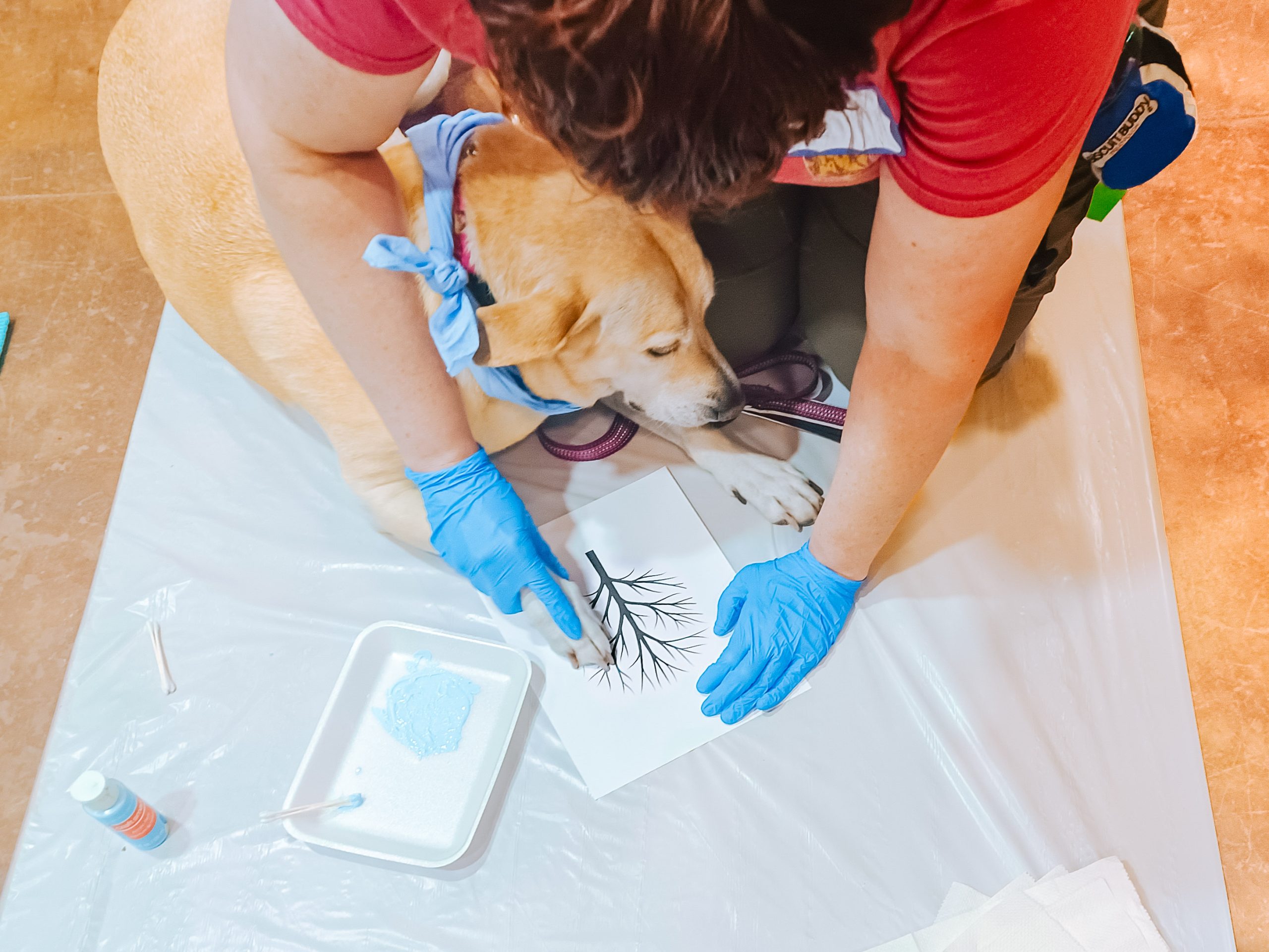 A woman crouching down, pressing a dog's paw dipped in paint onto a paper with a tree on it