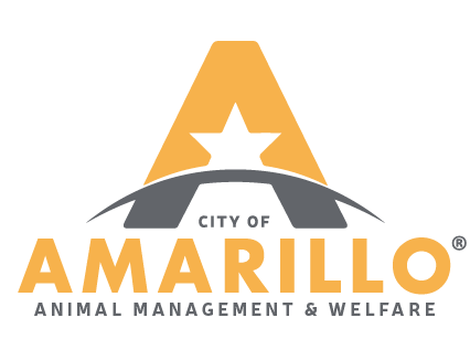 City of Amarillo logo with "Animal Management and Welfare" below