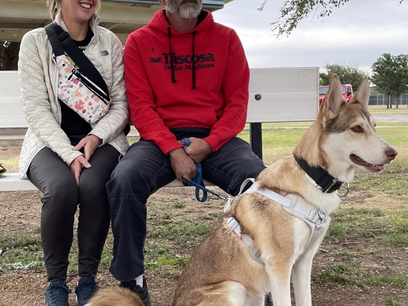 A Perfect Fit Flynn 1