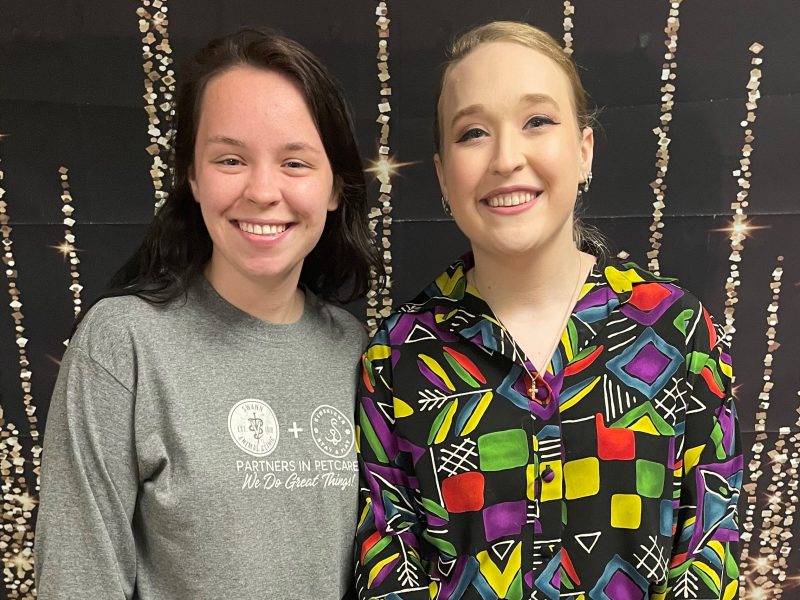 AAMW Doggy Day Out 1