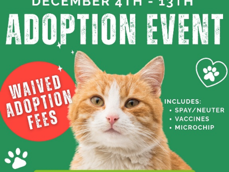 AMW Adoption Fees Waived Flier 12_04_2025 to 12_13_2025